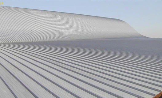 Color Steel Roof Panel